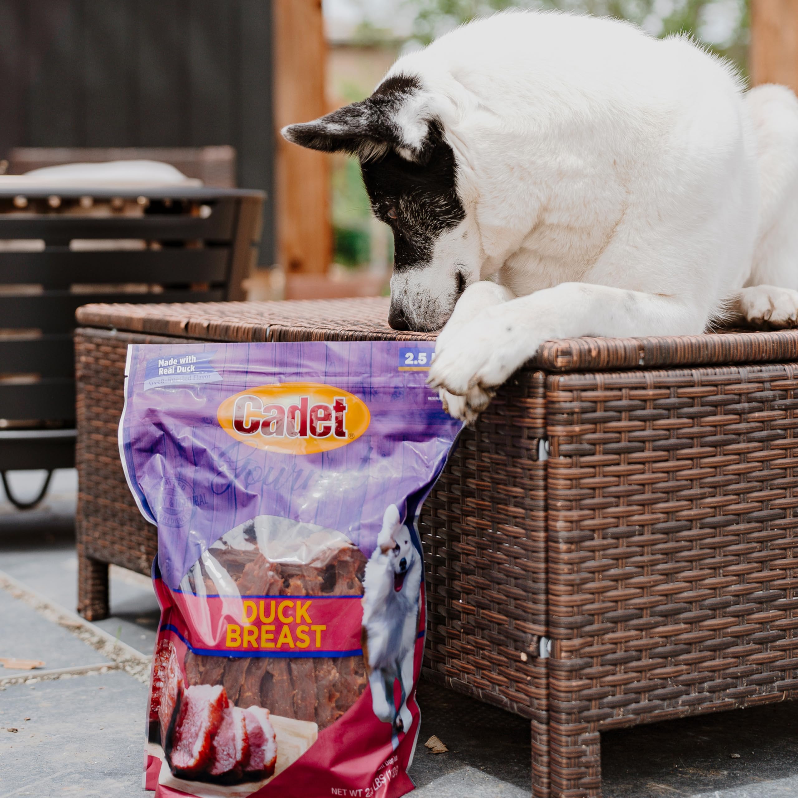 Cadet Gourmet premios para perros de pato, incentivo sabroso para obediencia
