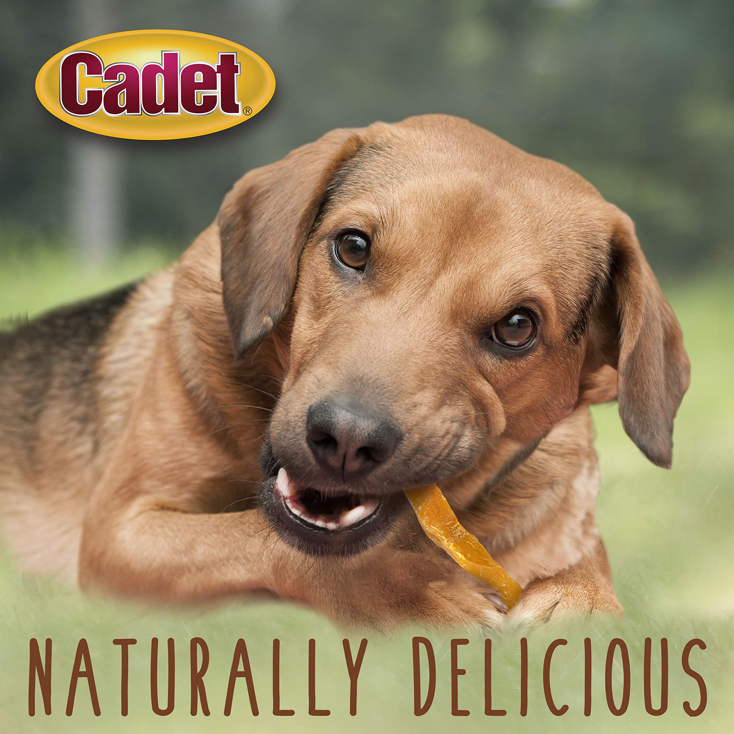Cadet Gourmet sin colorantes artificiales para snack puro y natural.
