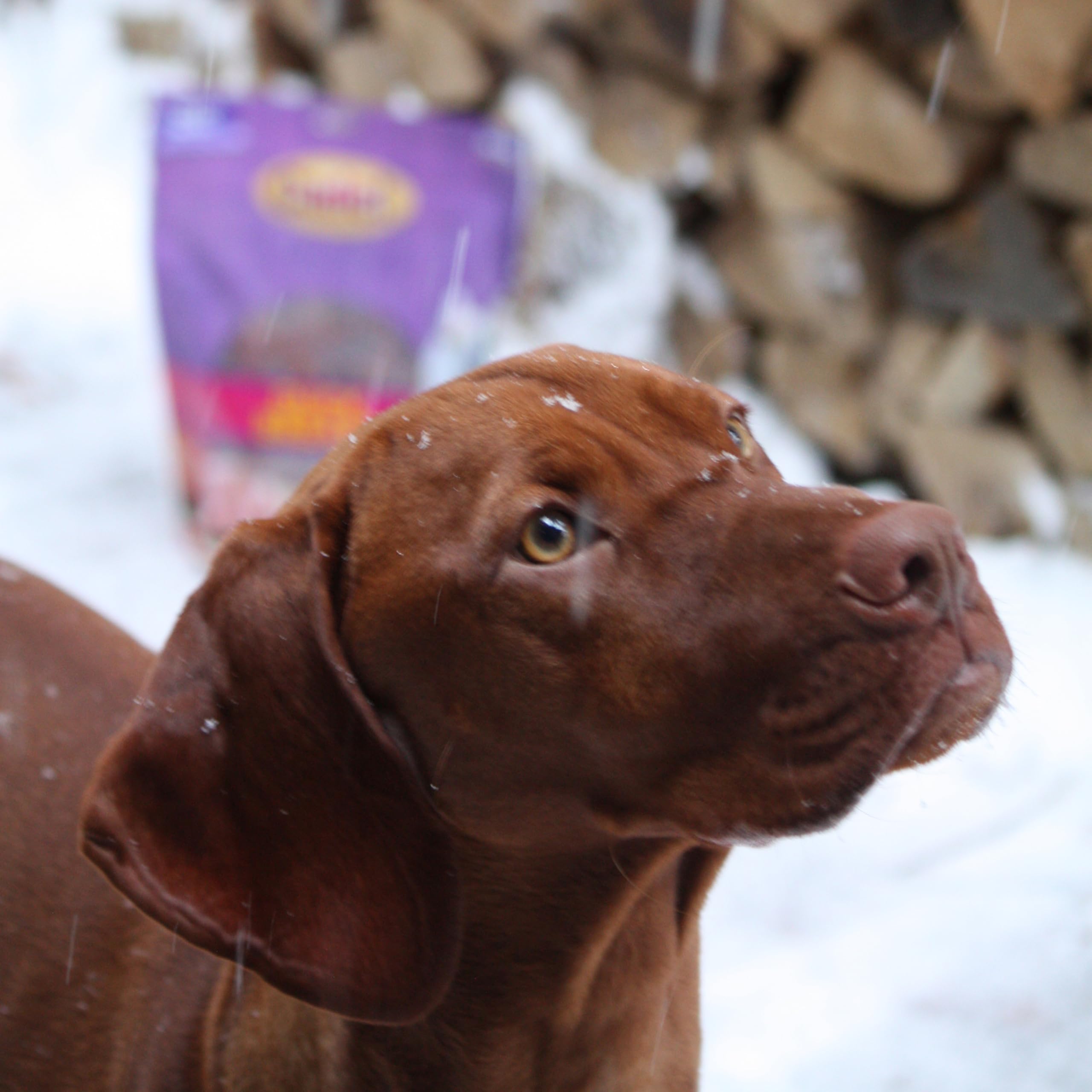 Cadet Gourmet snacks de pato, opción natural sin colores artificiales para perros