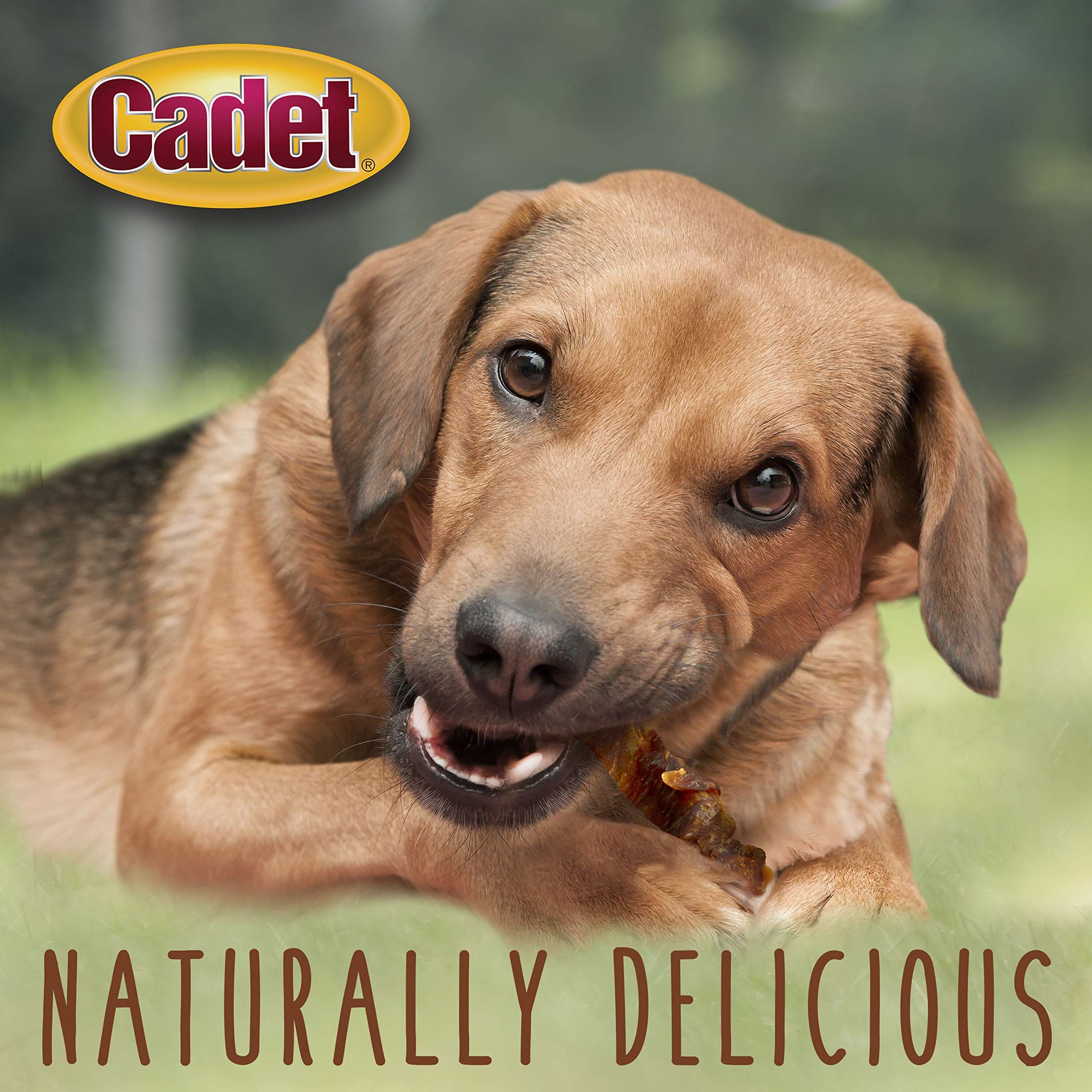 Cadet ingredientes limitados: sin colorantes ni rellenos artificiales