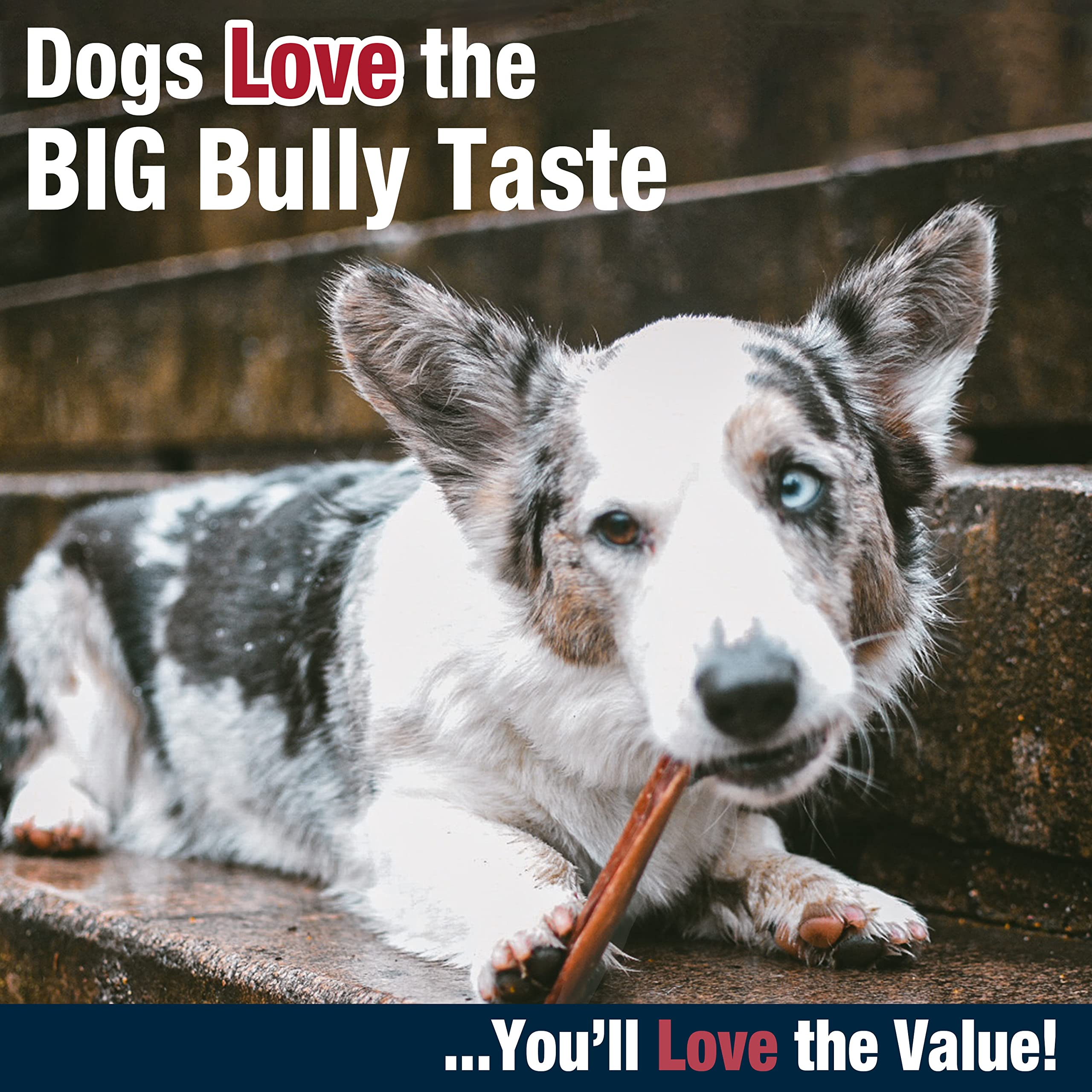 Cadet Palitos Bully Hide - Tamaño pequeño ideal para perros pequeños.