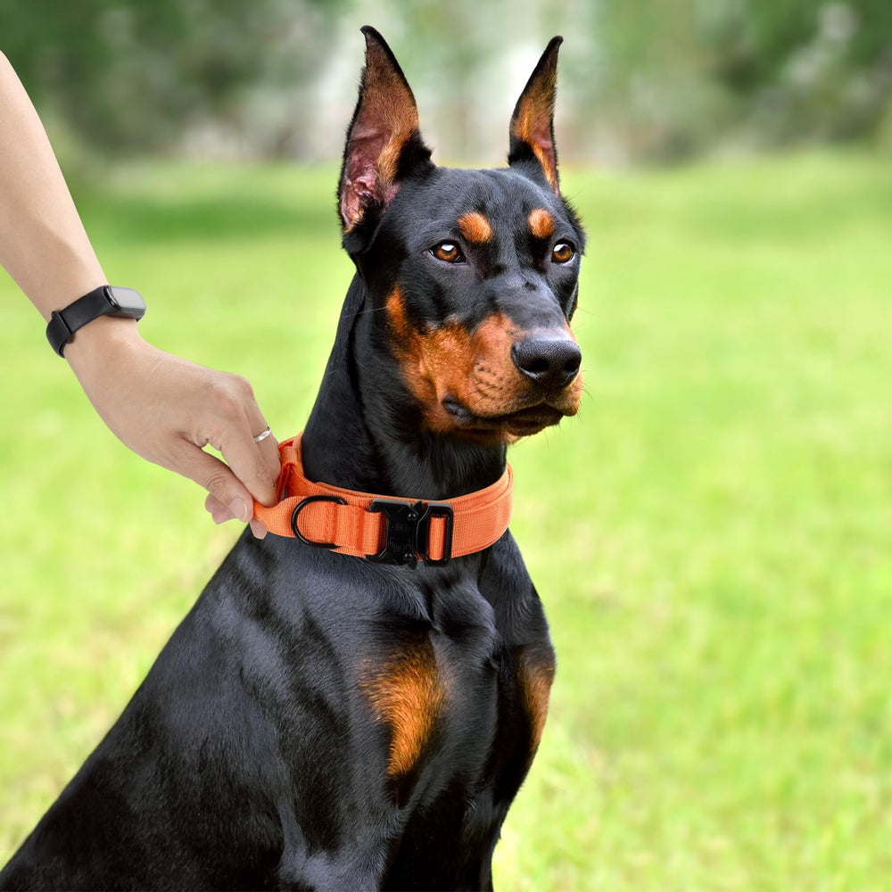 CADONO tallas M, L y XL para perros pequeños a grandes.