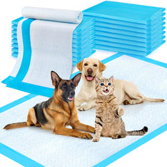 CAHUDIKIC almohadillas extralargas 36x51, vista superior, mayor absorción para perros grandes