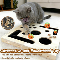 Bolas con campana dentro de la caja educativa para gatos