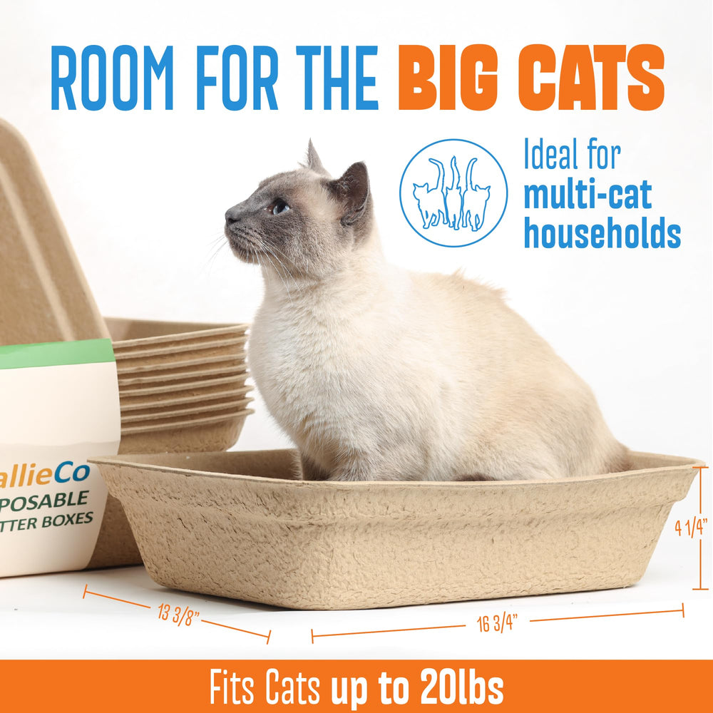 CallieCo caja de gran tamaño para gatos, espacio cómodo para viajar.