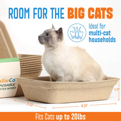 CallieCo caja de gran tamaño para gatos, espacio cómodo para viajar.