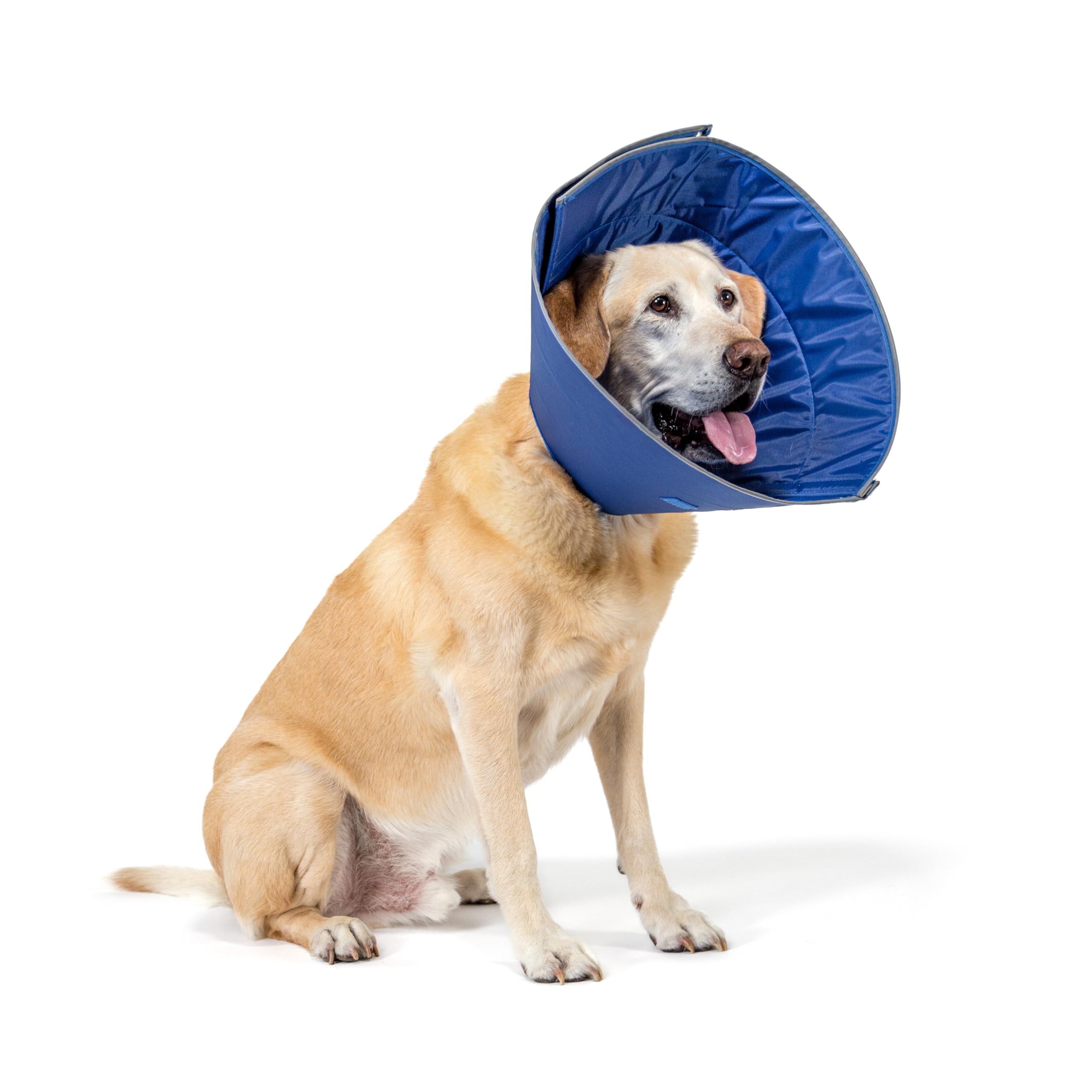 Calm Paws collar-cuidado-xl-confort ofrece comodidad durante la recuperación.
