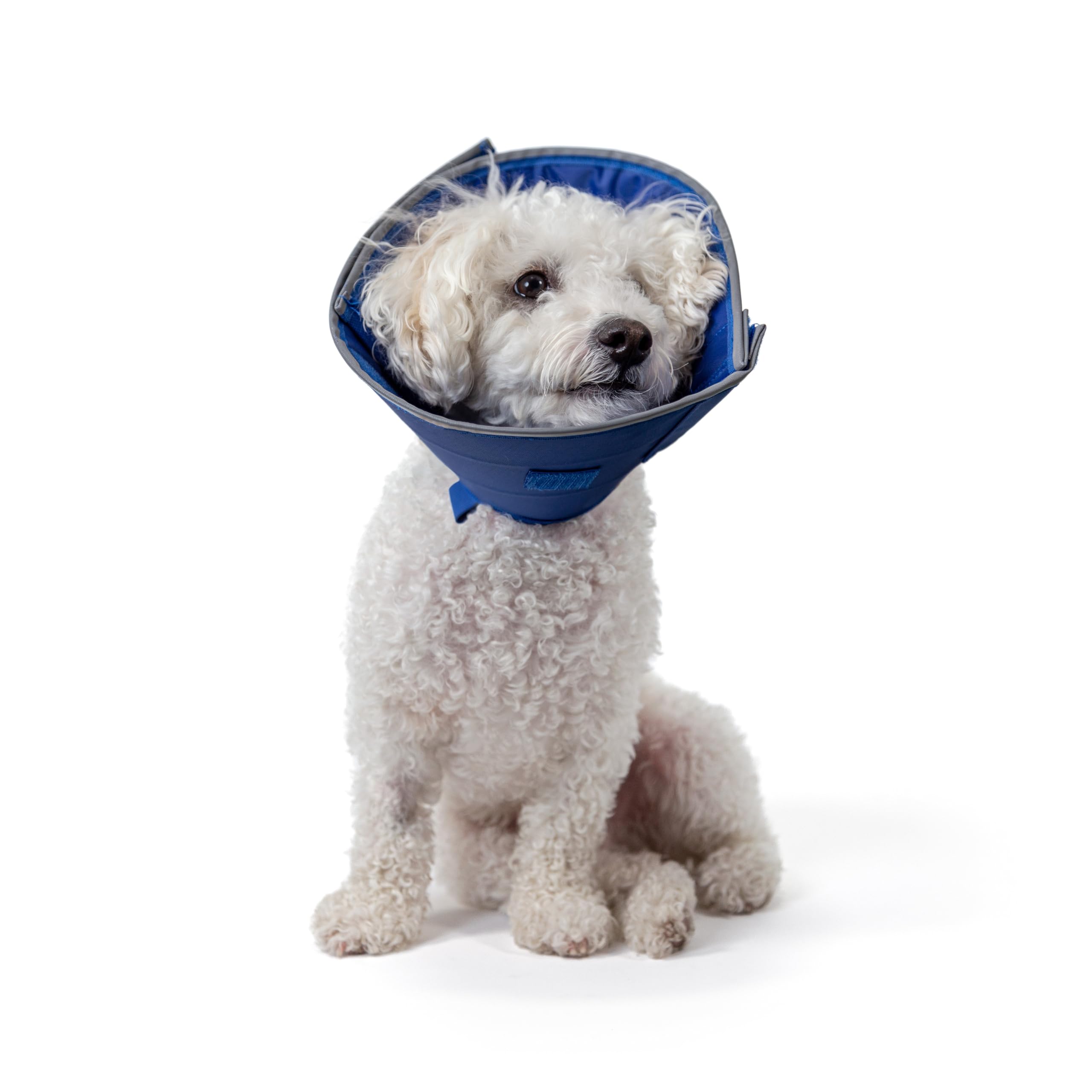 Collar Calm Paws para perros, vista frontal, cómodo y duradero para el día a día
