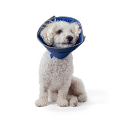Collar Calm Paws para perros, vista frontal, cómodo y duradero para el día a día