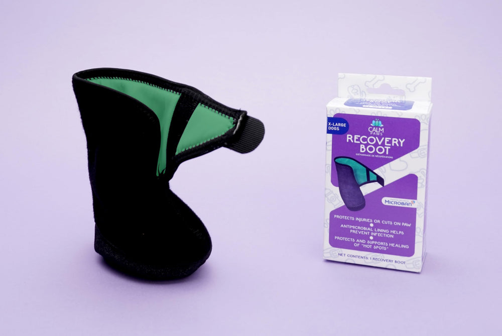 Calm Paws Forro interior suave previene rozaduras