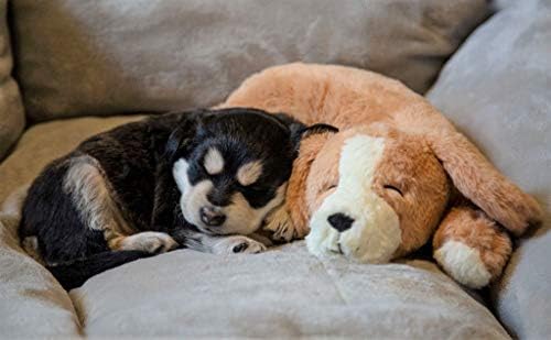 Calmeroos Corazón simulado, sonido realista para confort de mascotas.