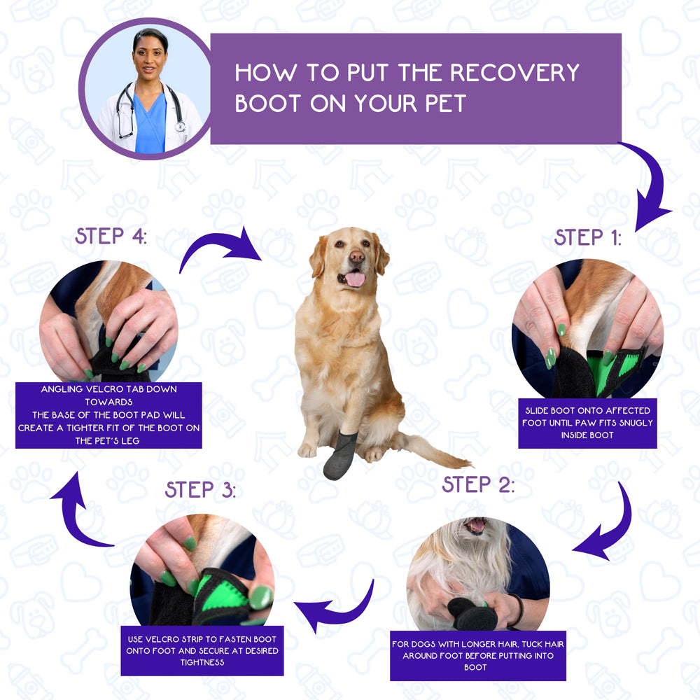 Calm Paws conjunto-cuidado-patitas ofrece guía de uso para una rutina suave.
