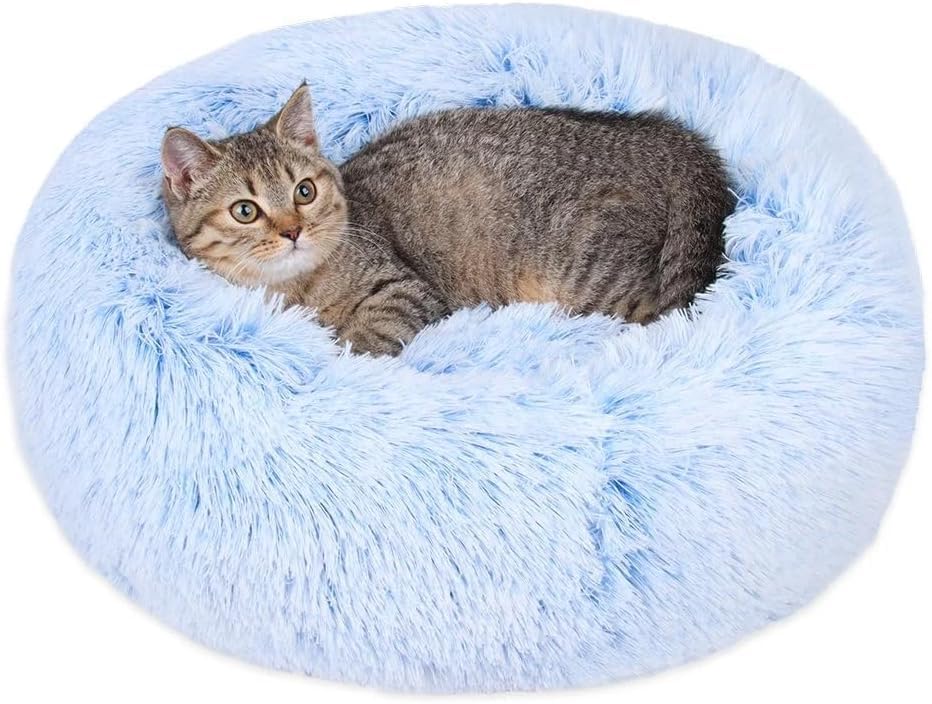 Cama para gatos: borde redondo de 24 pulgadas para mayor confort y seguridad.
