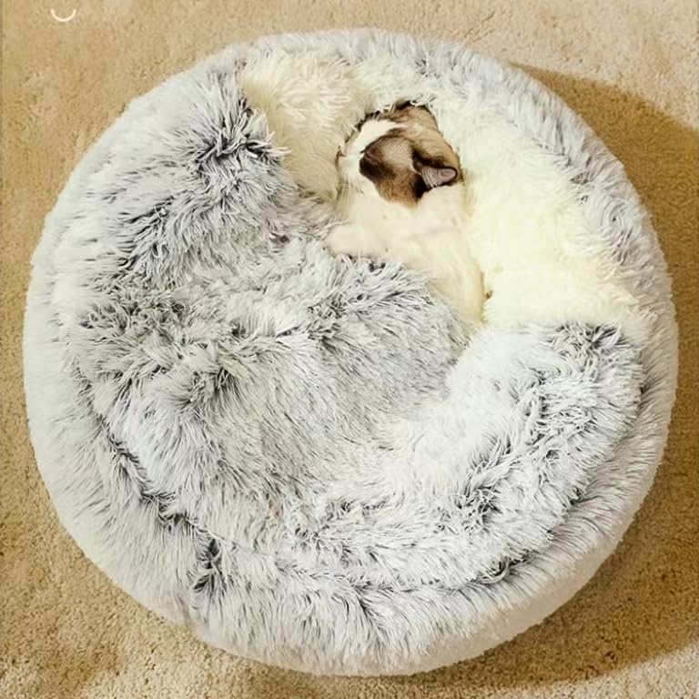 Disponible en tres tallas para perros y gatos.