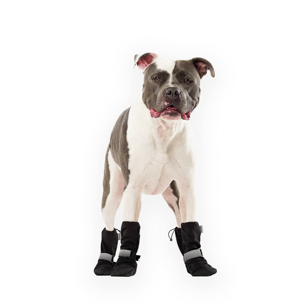 Canada Pooch botas invierno patitas protegidas en clima frío