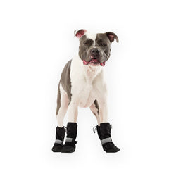 Canada Pooch botas invierno patitas protegidas en clima frío