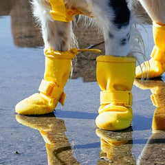 Canada Pooch botas ajustables con velcro para perros de diferentes tamaños.
