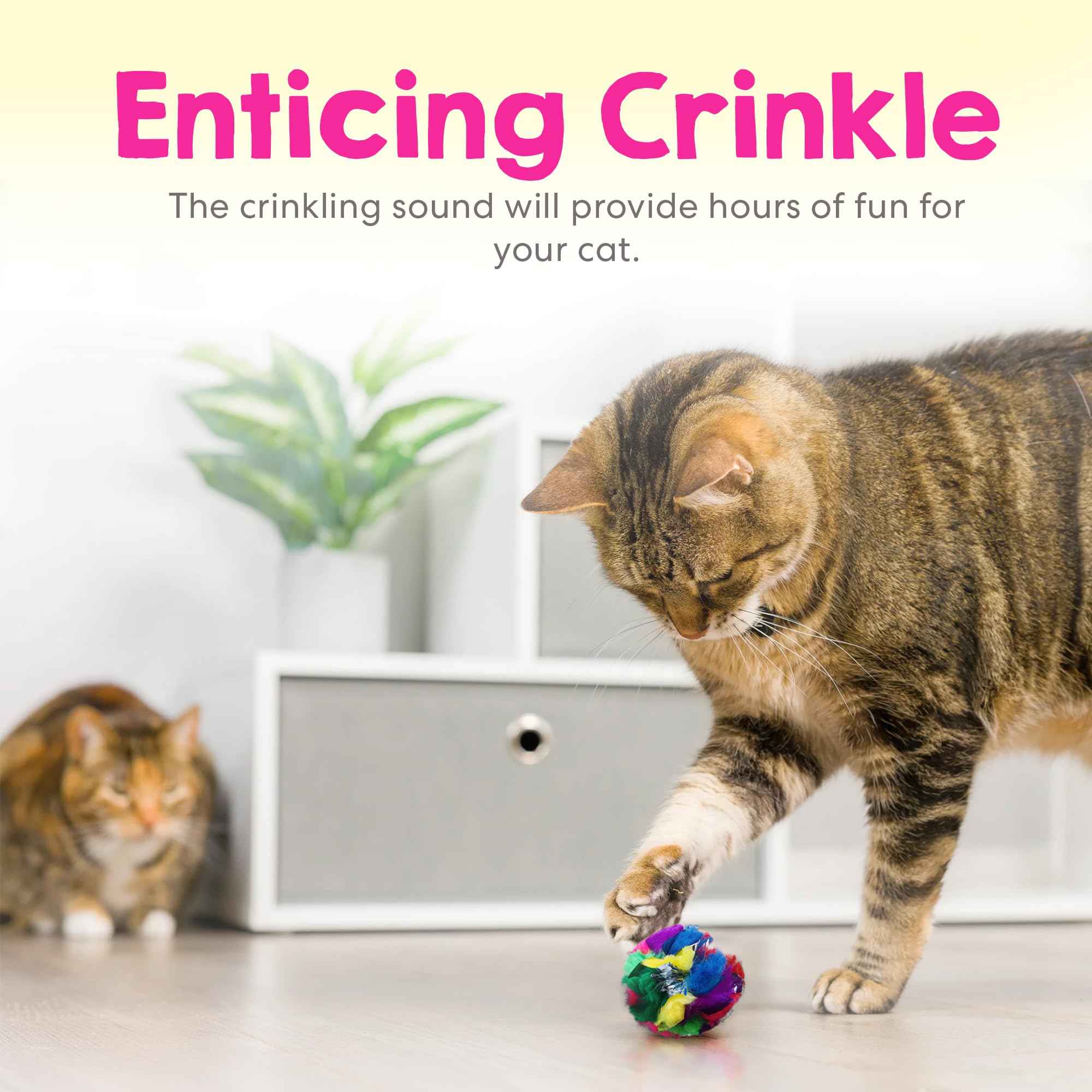 Cancor Innovations: detalle de brillo con lentejuelas para estimular la curiosidad felina.