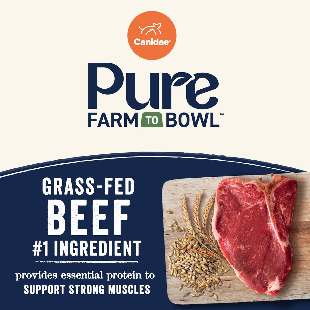 CANIDAE Pure Farm carne de res alimentada con pasto como ingrediente principal.