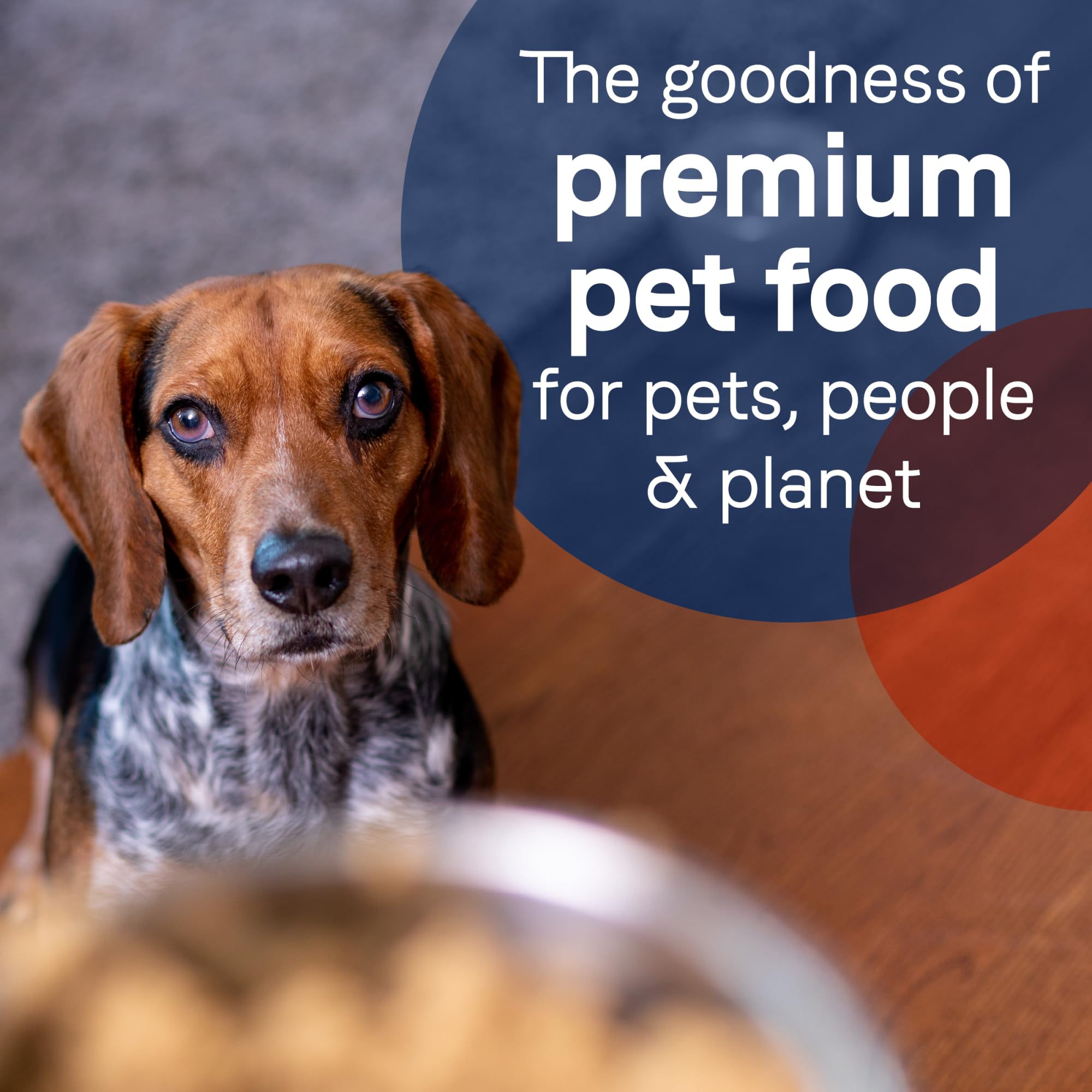 Porciones diarias equilibradas con Canidae Pure para perros adultos.