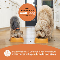 CANIDAE Todas las etapas 5 en 1 soluciones, salud digestiva e inmunitaria