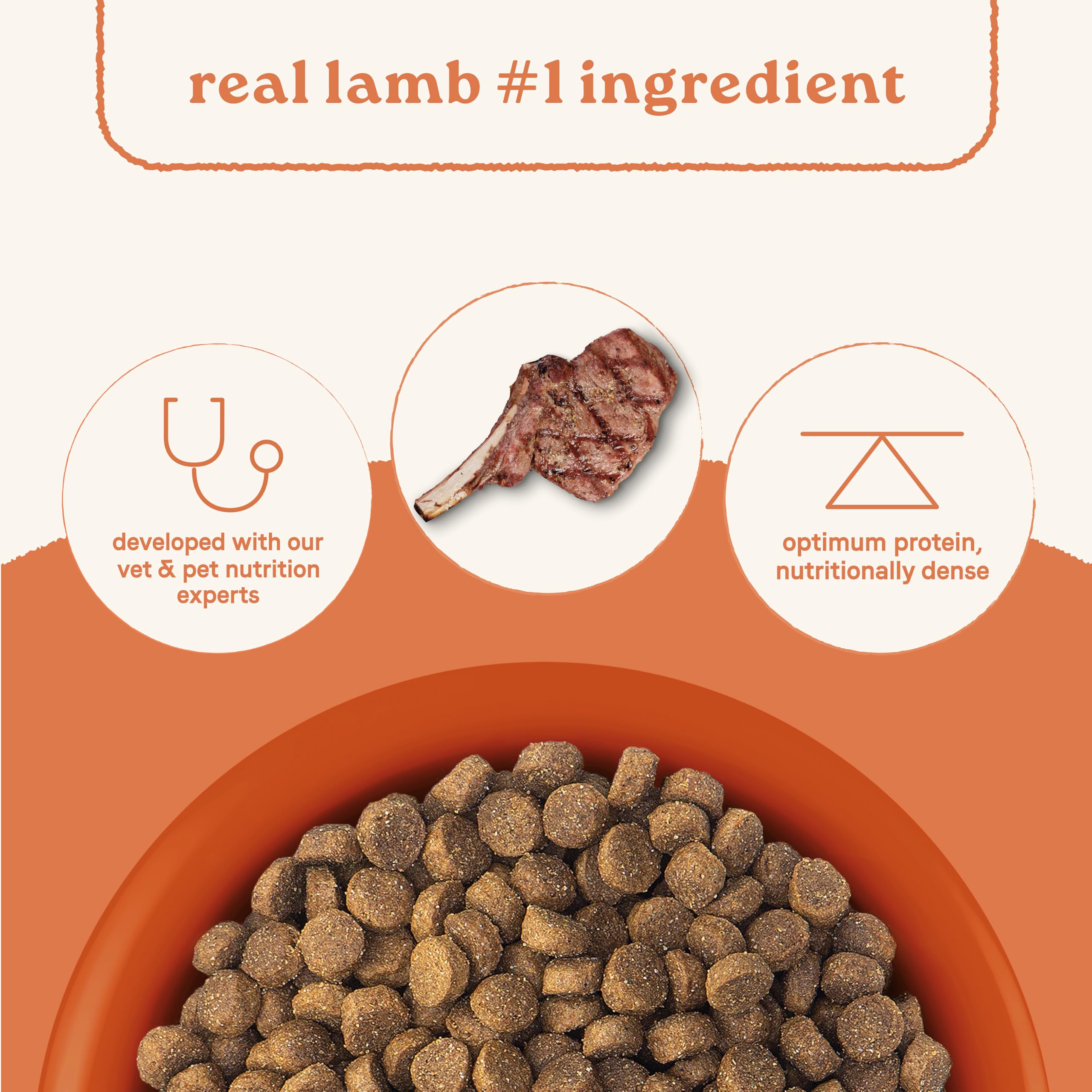 CANIDAE Todas las etapas granos antiguos, fuente de digestión suave para perros