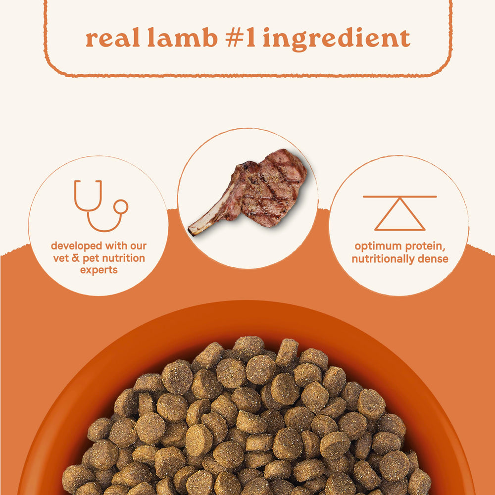 CANIDAE Todas las etapas granos antiguos, fuente de digestión suave para perros