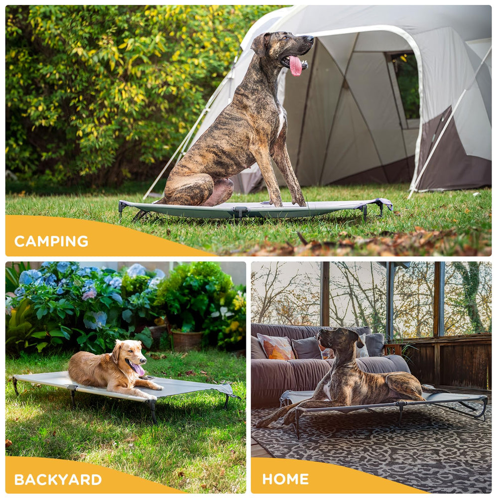 CANINE CANYON Daisy Cot compacta para almacenamiento y transporte sencillo.