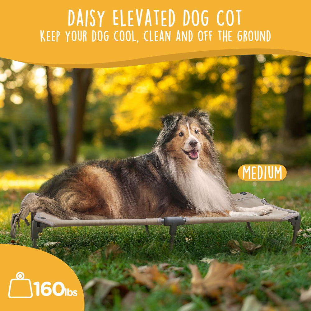 CANINE CANYON Daisy Cot diseño plegable compacto para viajes