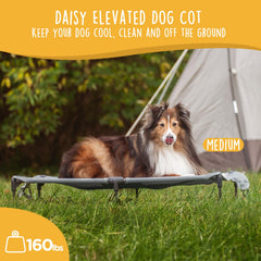 Diseño plegable Daisy Cot facilita transporte y montaje en viajes.