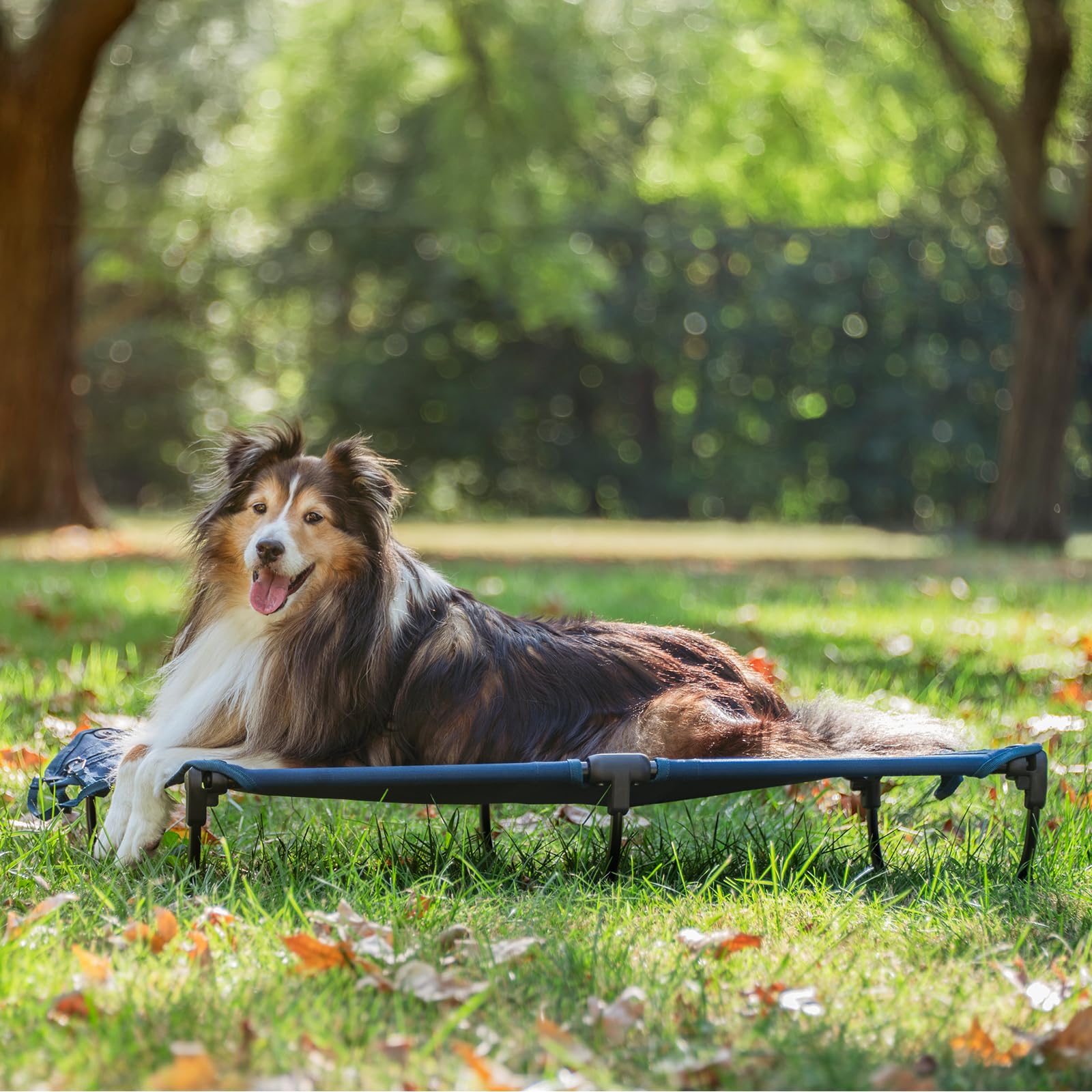 CANINE CANYON Daisy Cot: se pliega compactamente para almacenamiento sencillo