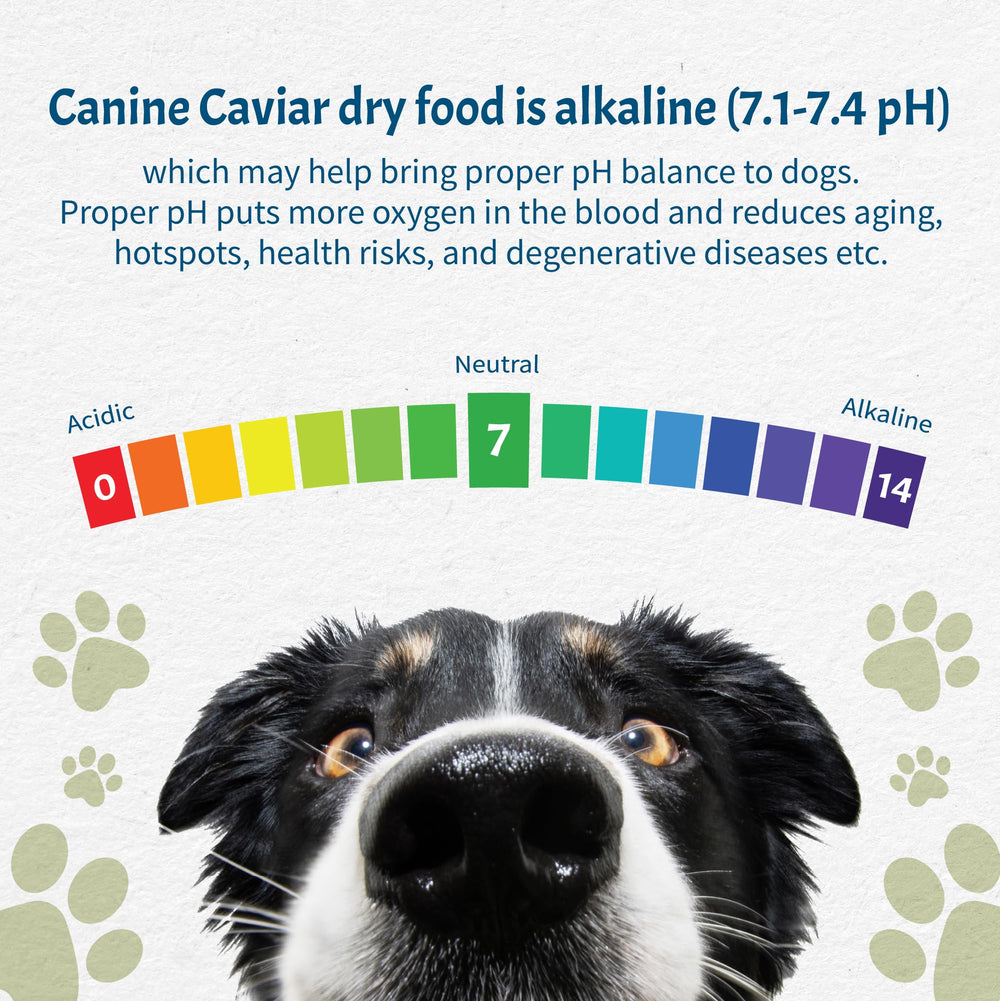 Canine Caviar Océano Salvaje, dieta alcalina para equilibrio digestivo