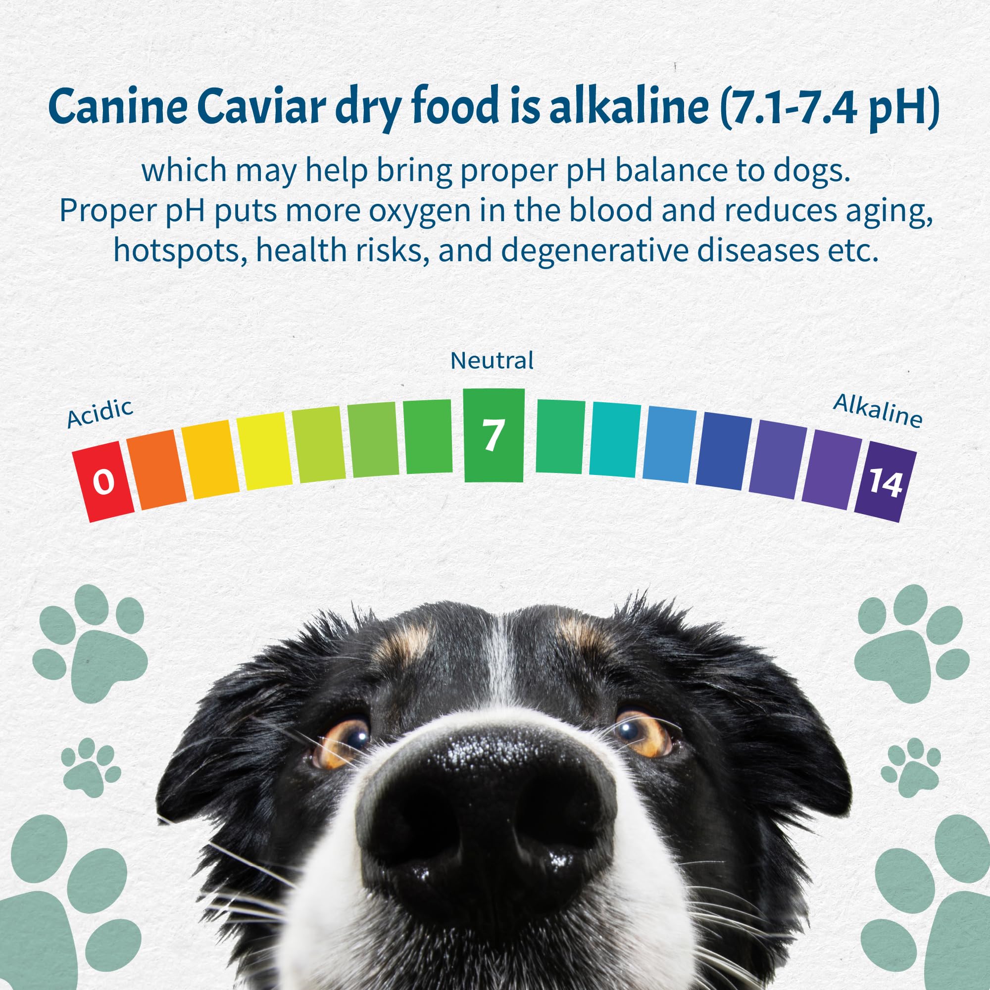 Canine Caviar Open Sky, libre de gluten para perros sensibles.