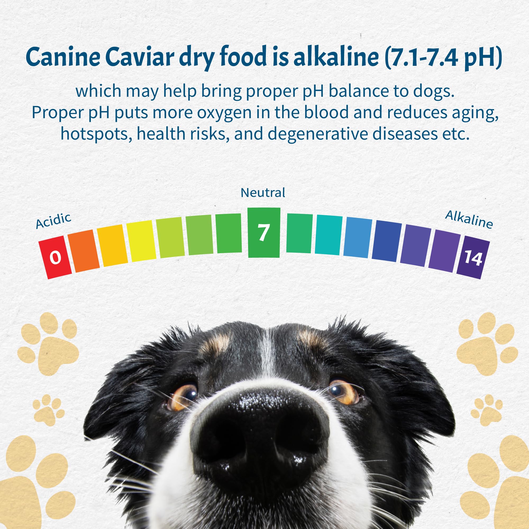 Canine Caviar Pradera Abierta: equilibrio de pH para salud general.