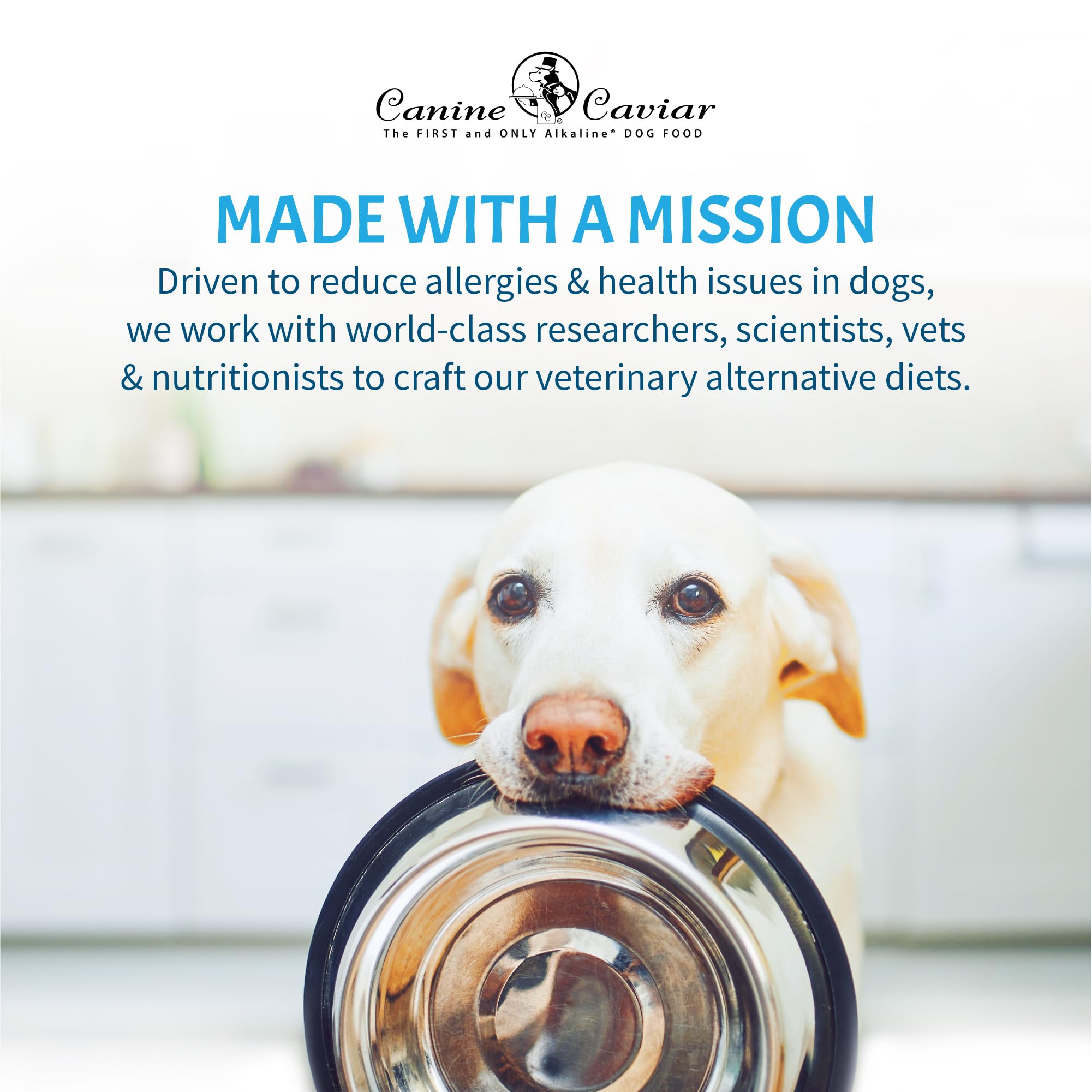 Canine Caviar Pradera Abierta: dieta para perros activos y sensibles.