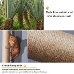 Canormpet postes sisal para gatos permiten rascar y ejercitar.