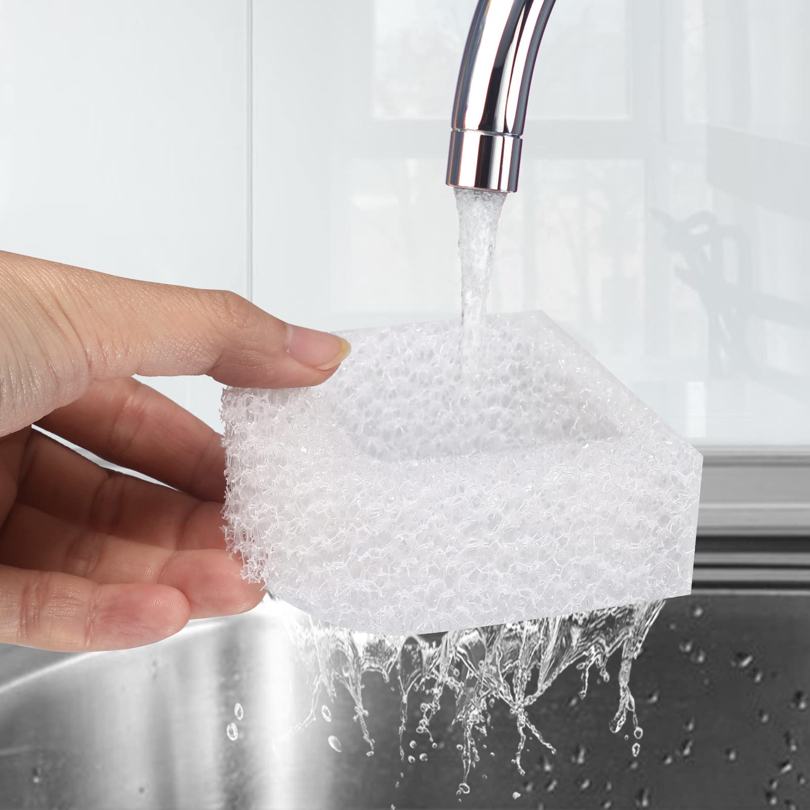 Canova cambios cada 2-4 semanas para agua fresca.