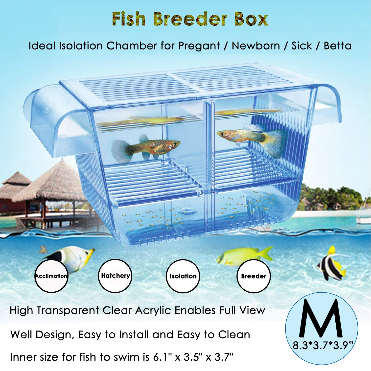 Capetsma caja criadero, enfoque ensamble fácil para cría de peces.