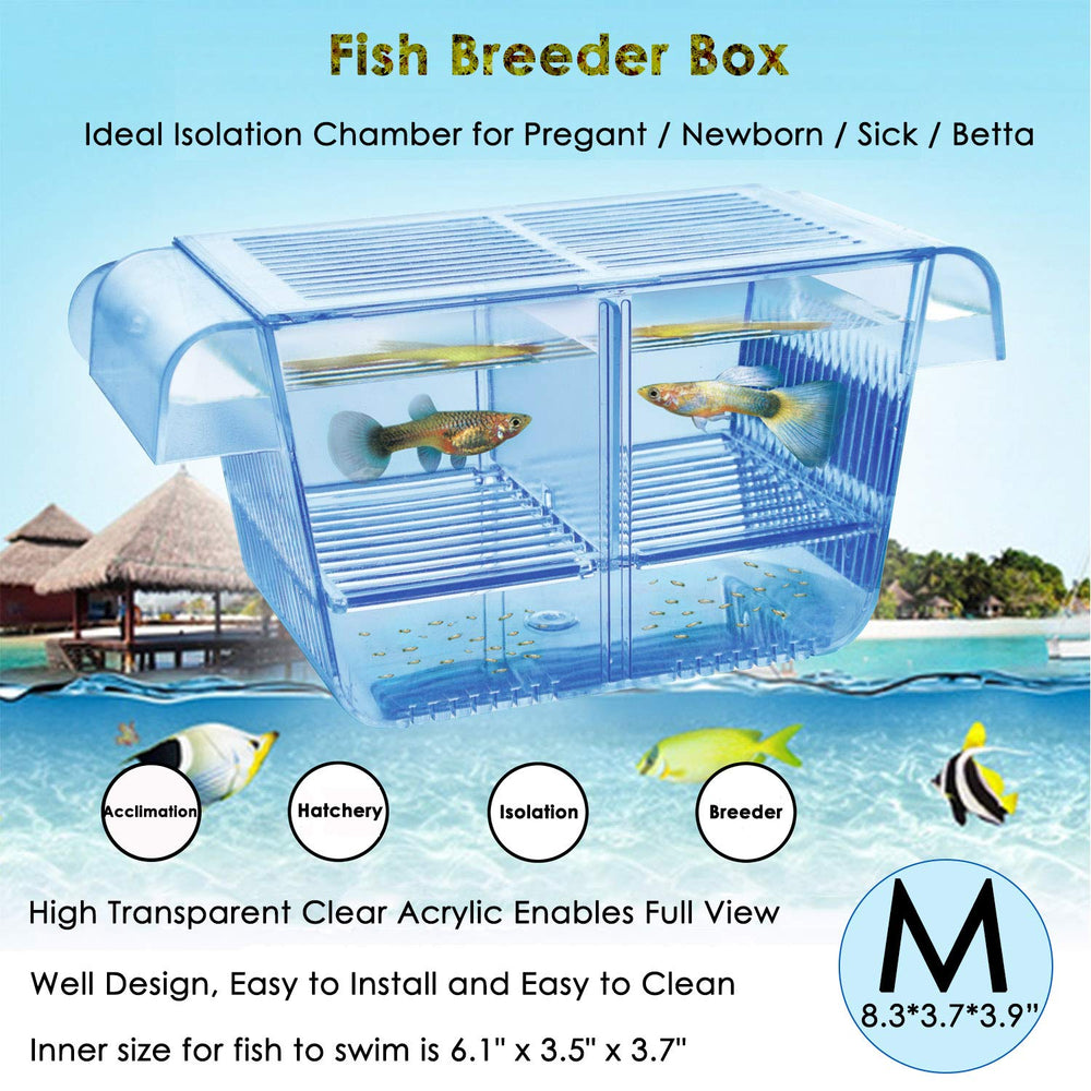 Capetsma caja criadero, enfoque ensamble fácil para cría de peces.