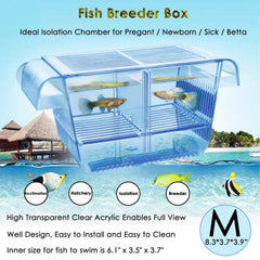 Capetsma caja criadero, enfoque ensamble fácil para cría de peces.