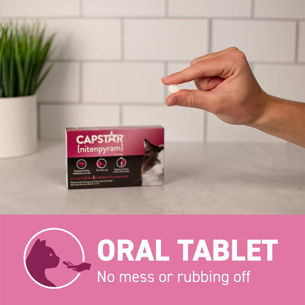 Capstar efecto inmediato 30 minutos: empieza a matar pulgas rápidamente.