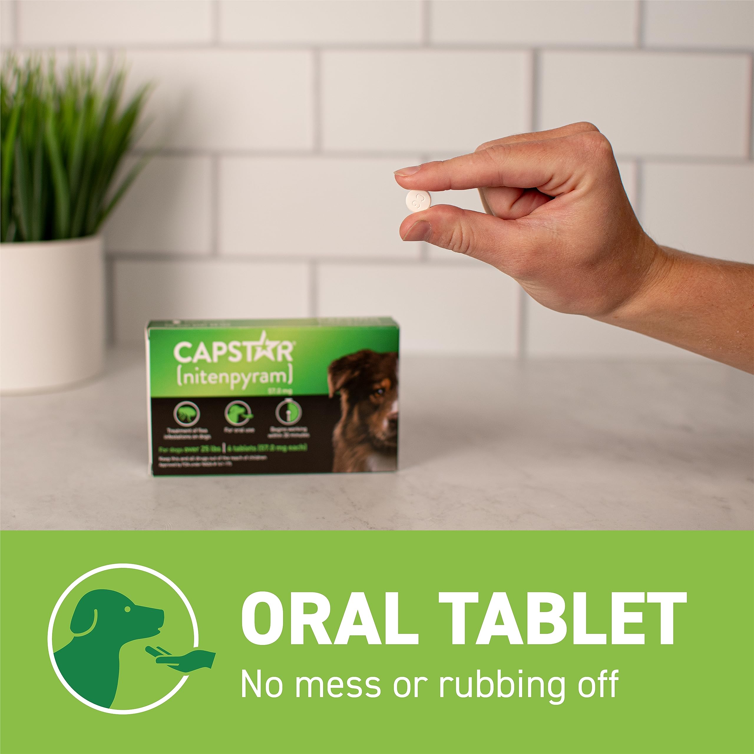 Capstar: envase de 60 tabletas para perros grandes.