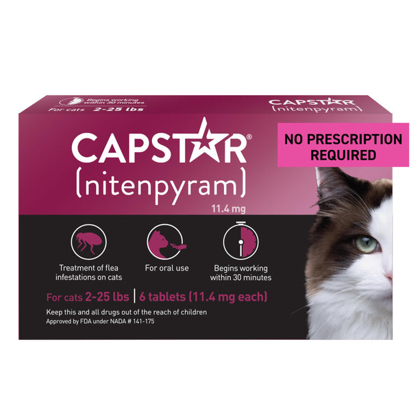 Capstar gato tableta frente: acción rápida contra pulgas.