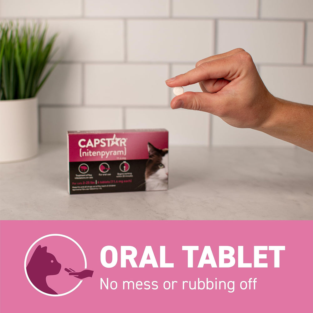 Capstar: toma diaria sin complicaciones para gatos.