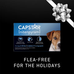Capstar: tableta individual para perro, inicio de acción en 30 minutos.