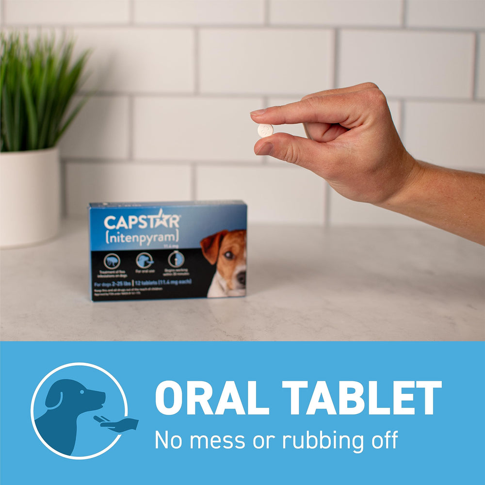 Capstar: uso fácil y seguro para perros, con 12 dosis.