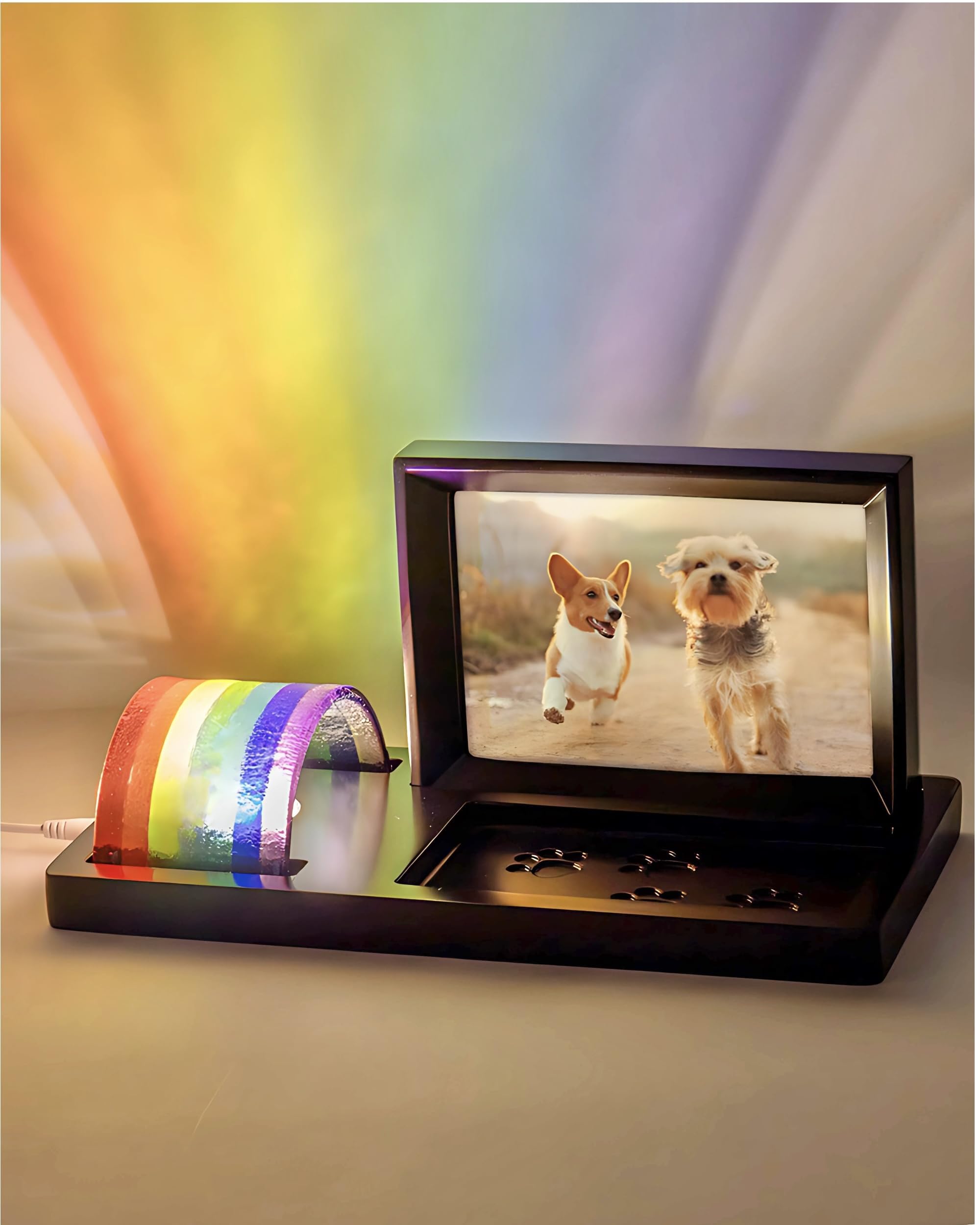 Capti arcoiris-puente-luz: marco para perro con luz integrada para recordar a tu mascota.