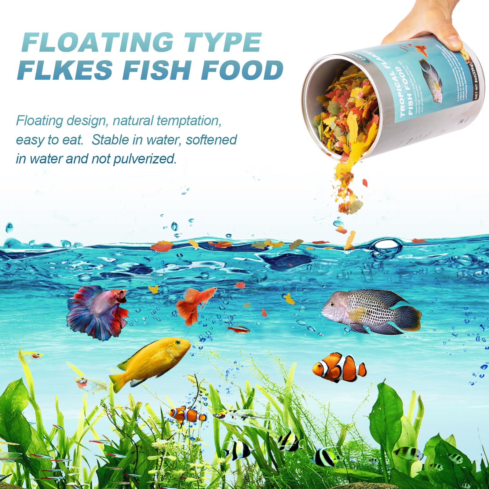Capuca para betta, pez ángel y otros peces tropicales