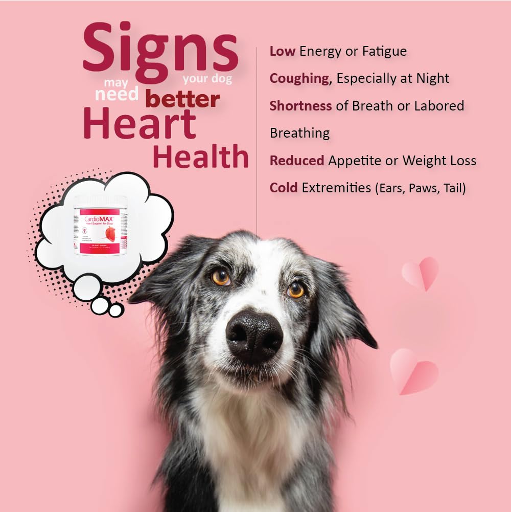 Cardiomax L-taurina para el corazón del perro y función cardíaca