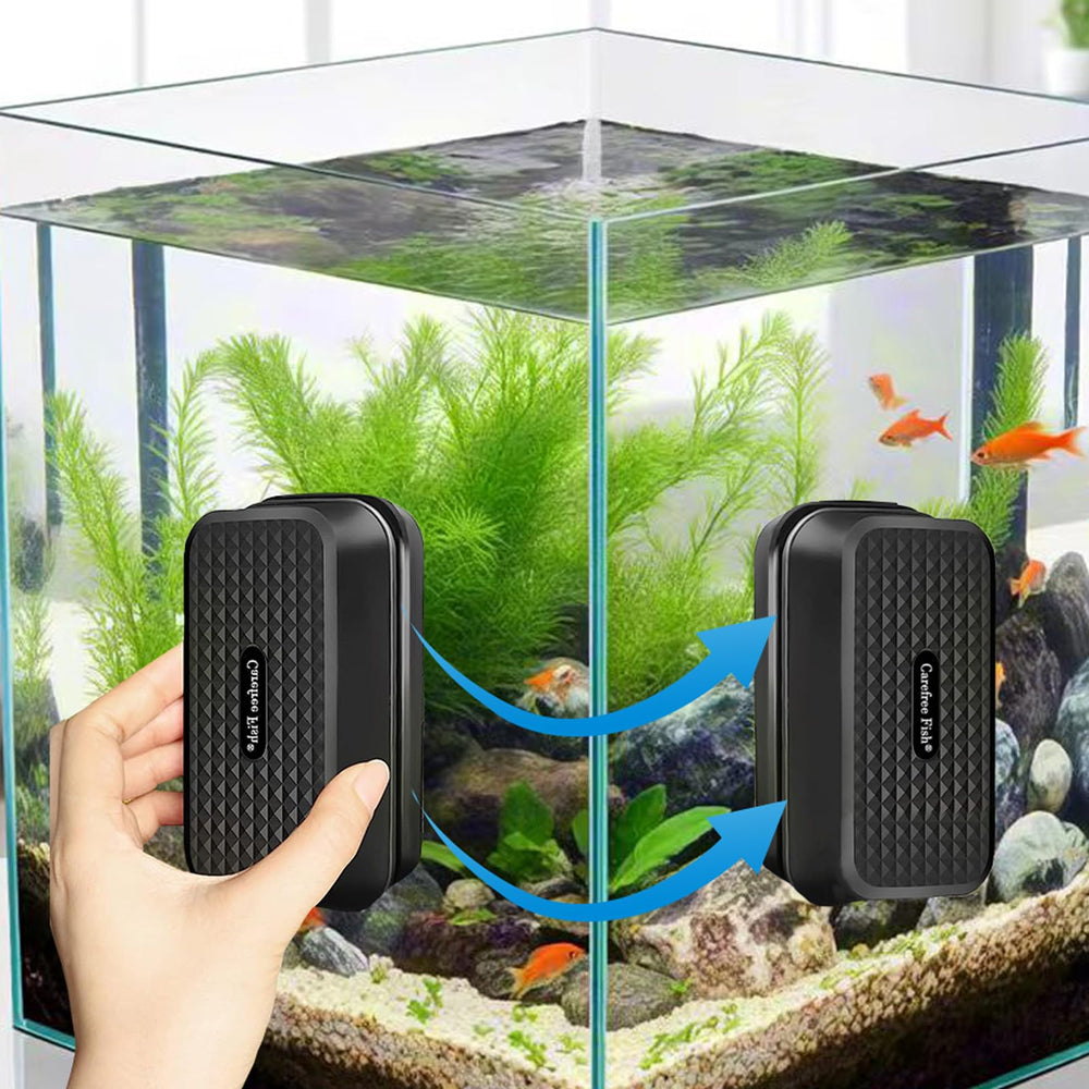 Carefree Fish no apto para acrílico, opción segura para vidrio.